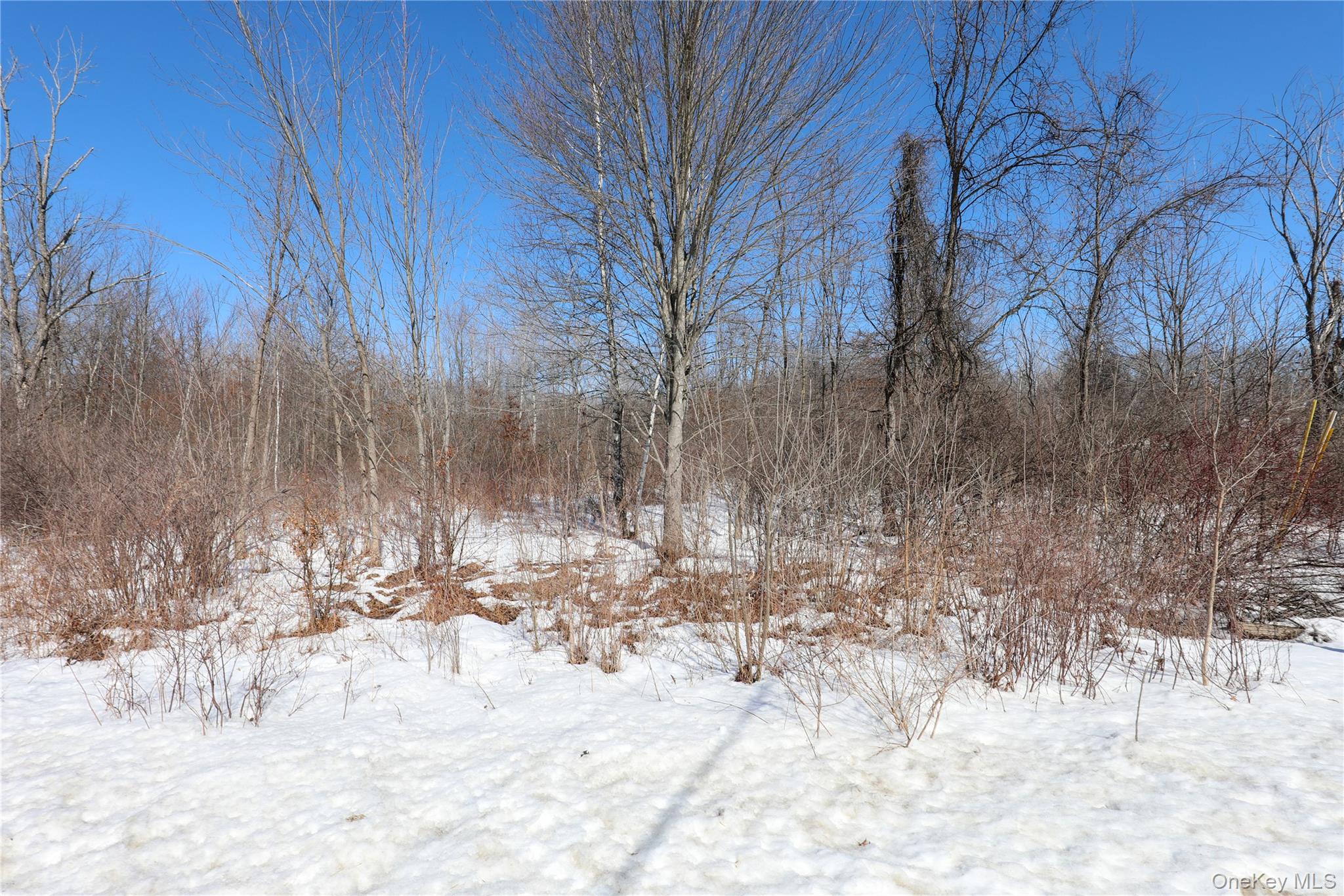 2410 State Route 300