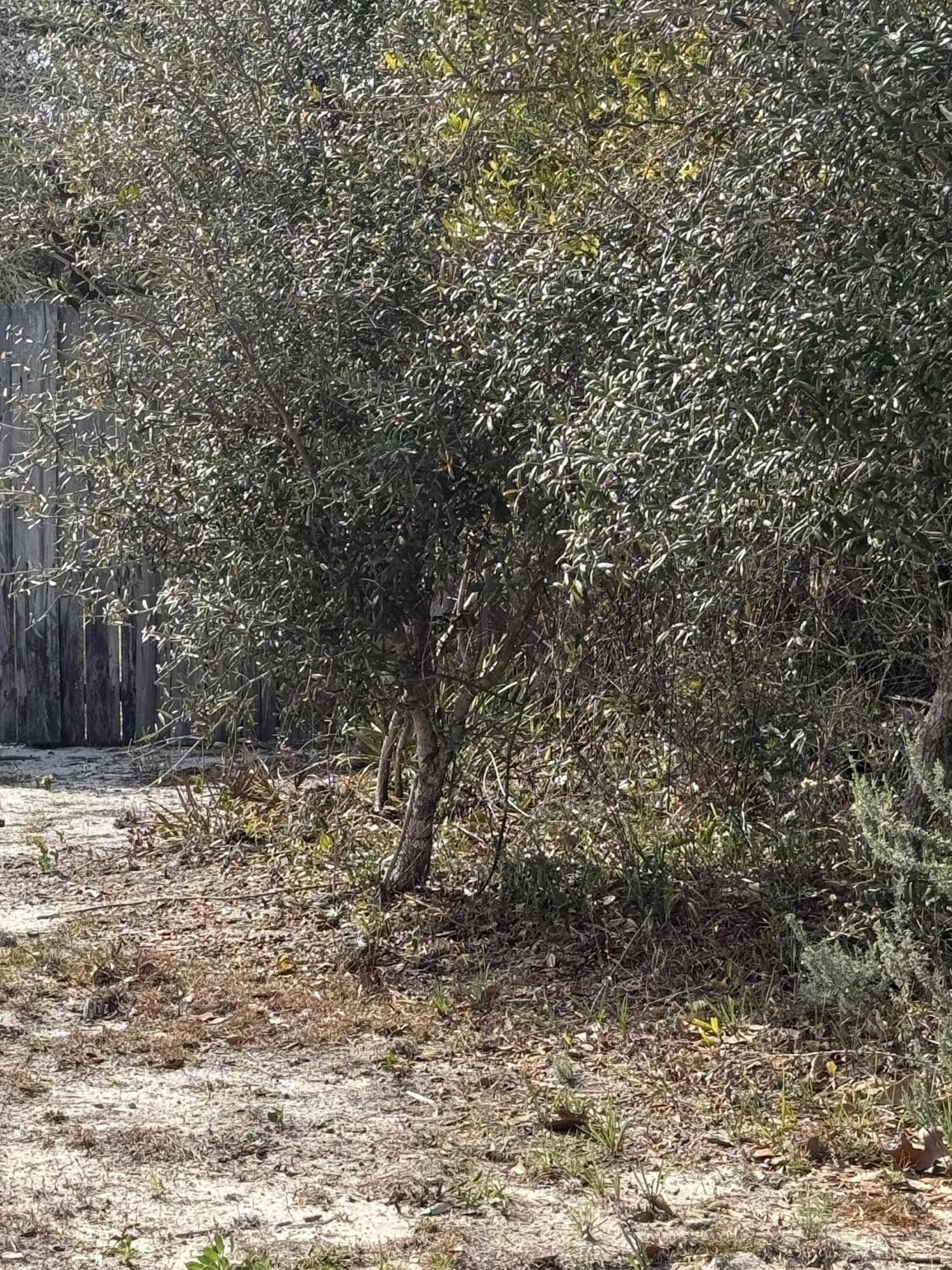 5200 Medina Road