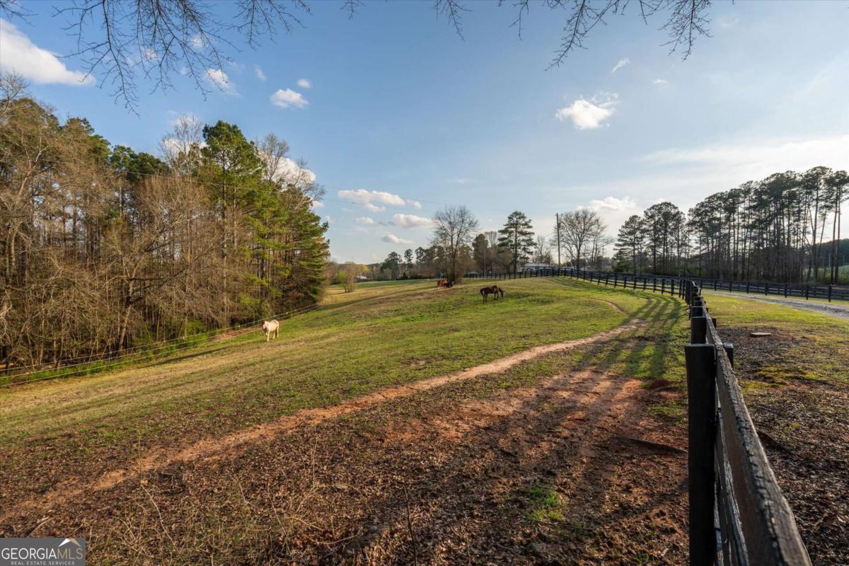 35 Saddleback Farms