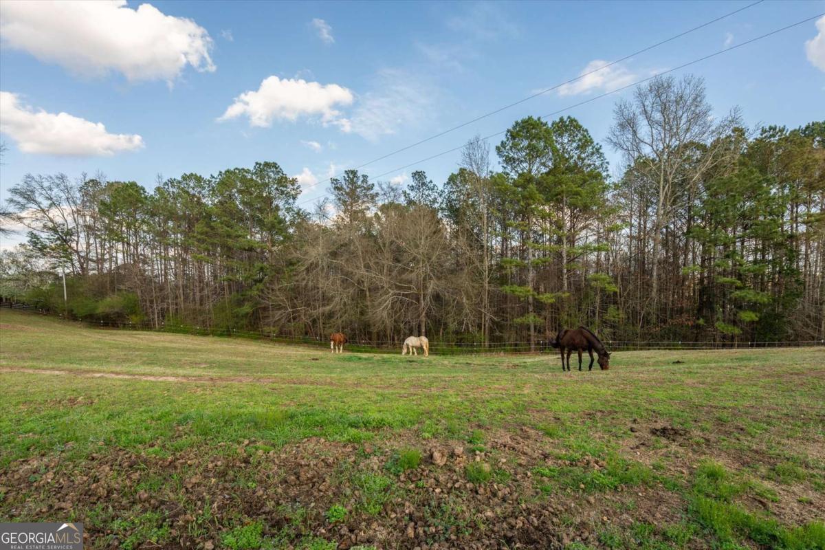 35 Saddleback Farms