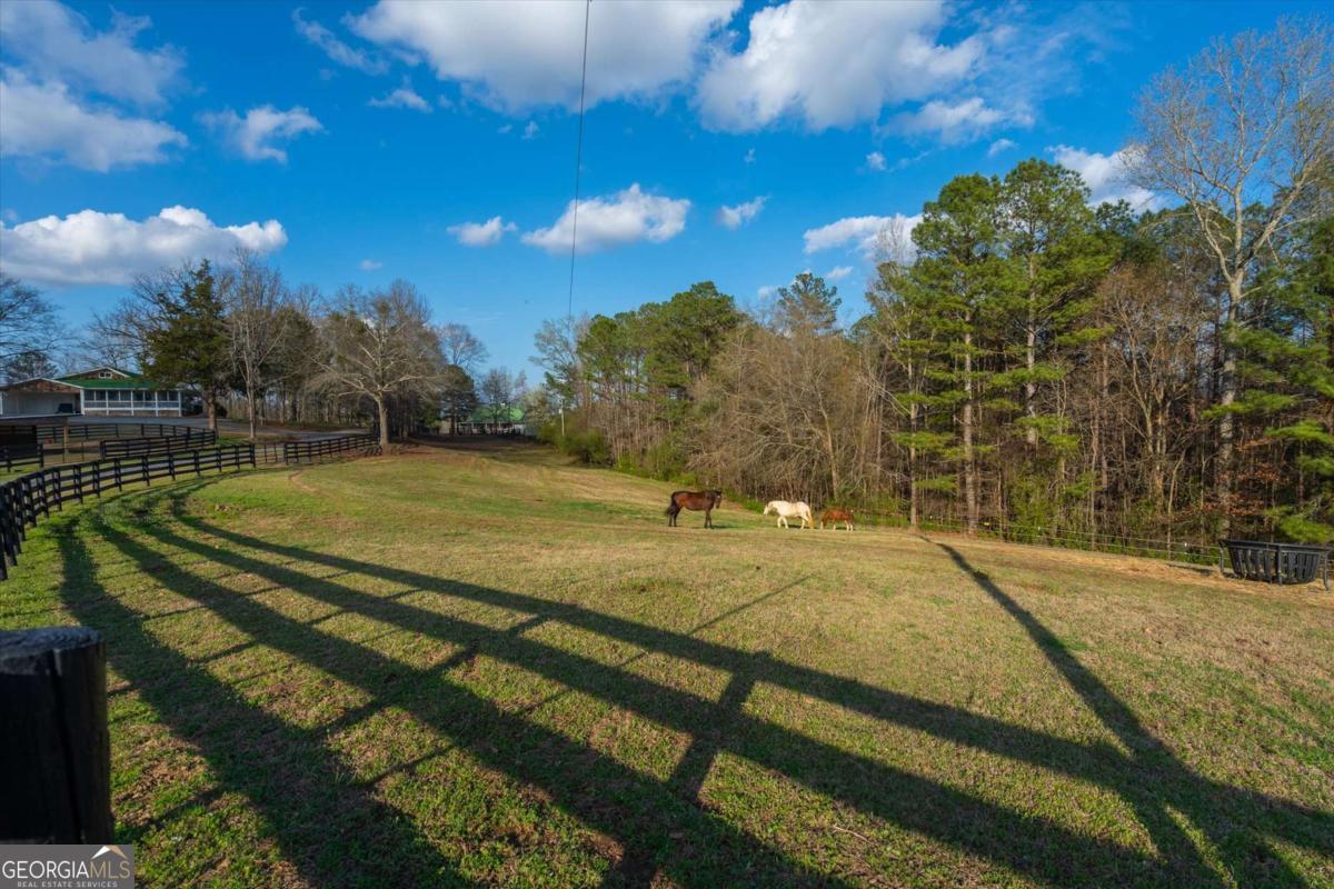 35 Saddleback Farms