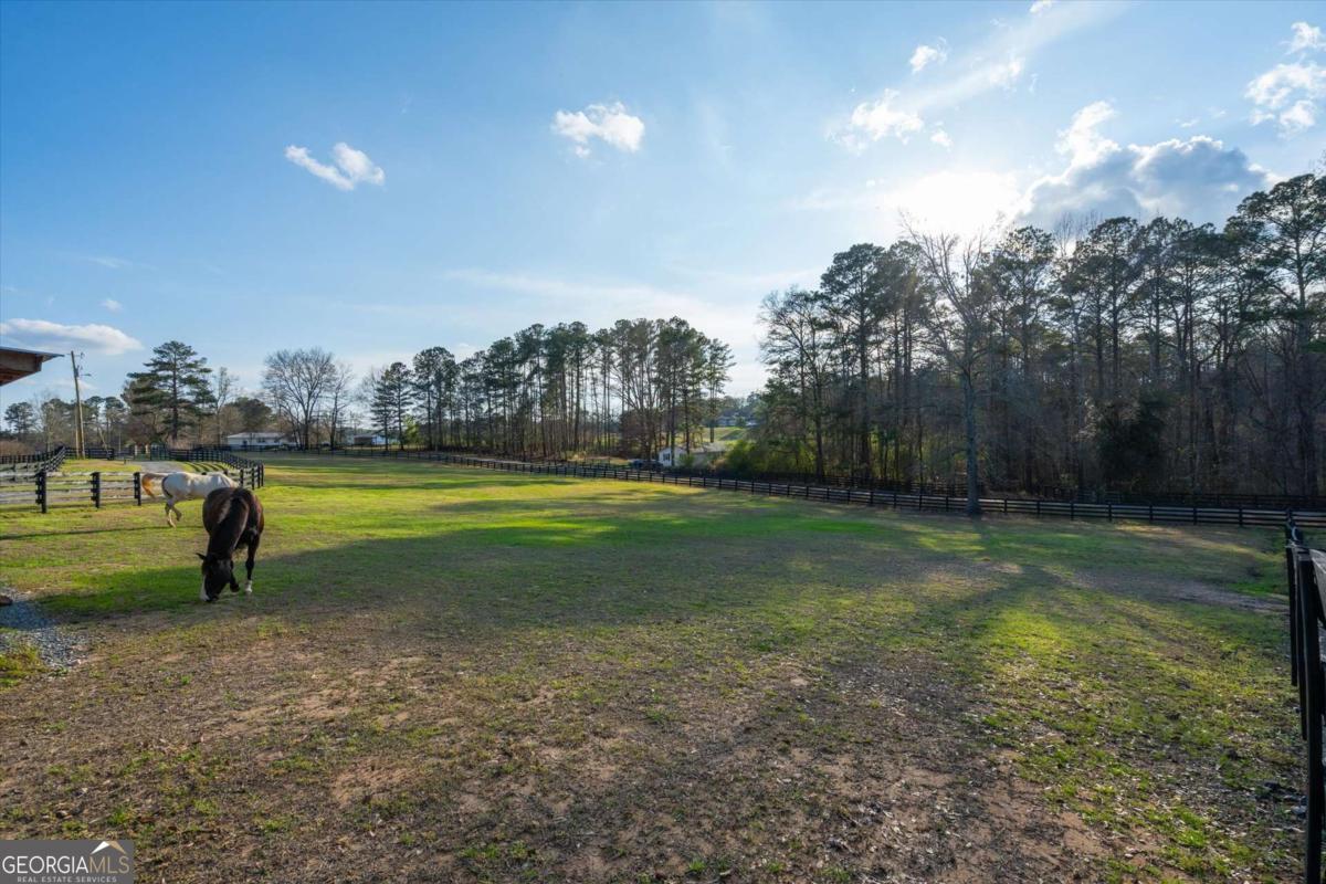 35 Saddleback Farms