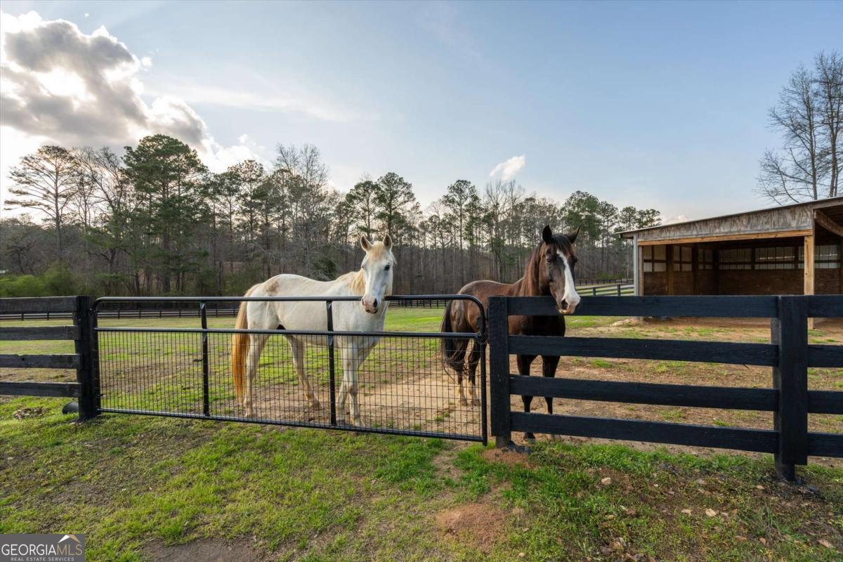 35 Saddleback Farms