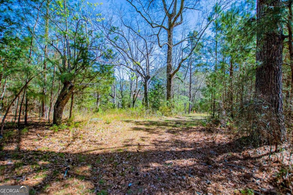 353 South Prospect Avenue