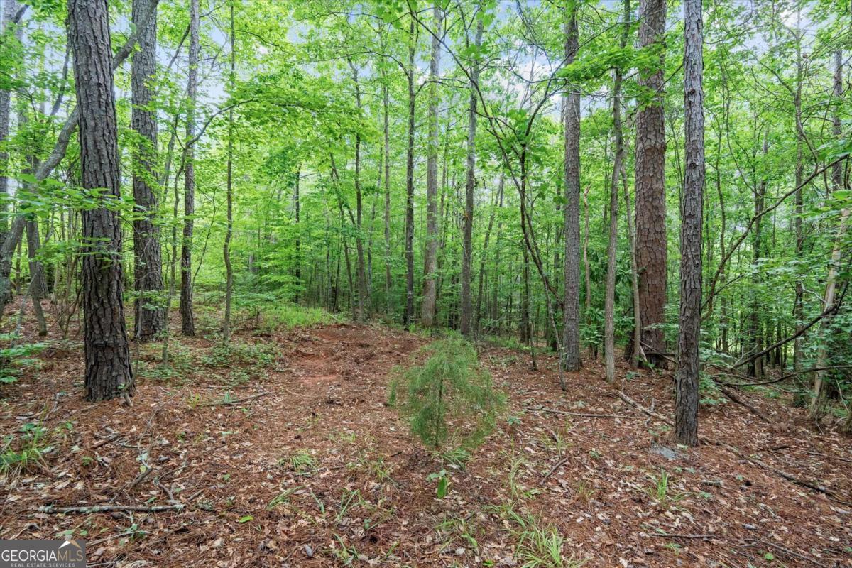 620 Old Four Notch Road