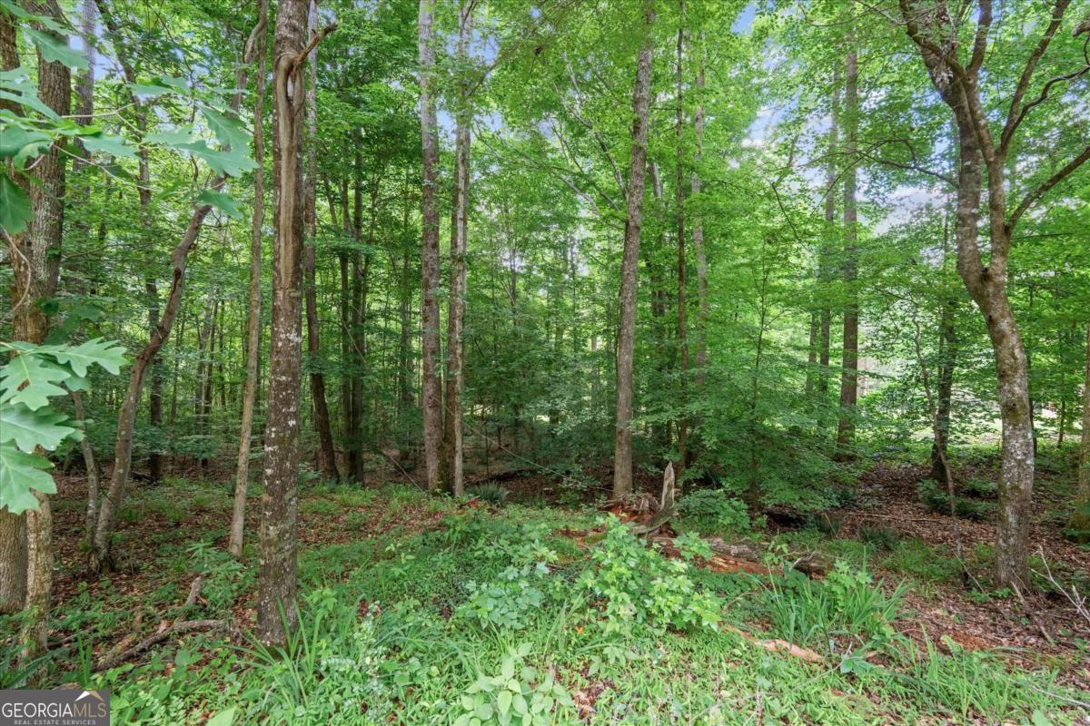 620 Old Four Notch Road