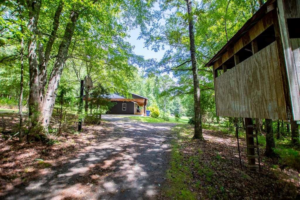 323 Newman Road