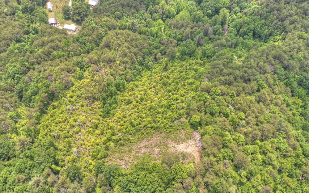 1 Kimsey Mountain Hwy