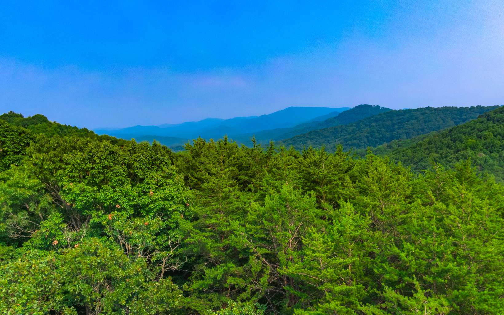 Shinbone Mountain