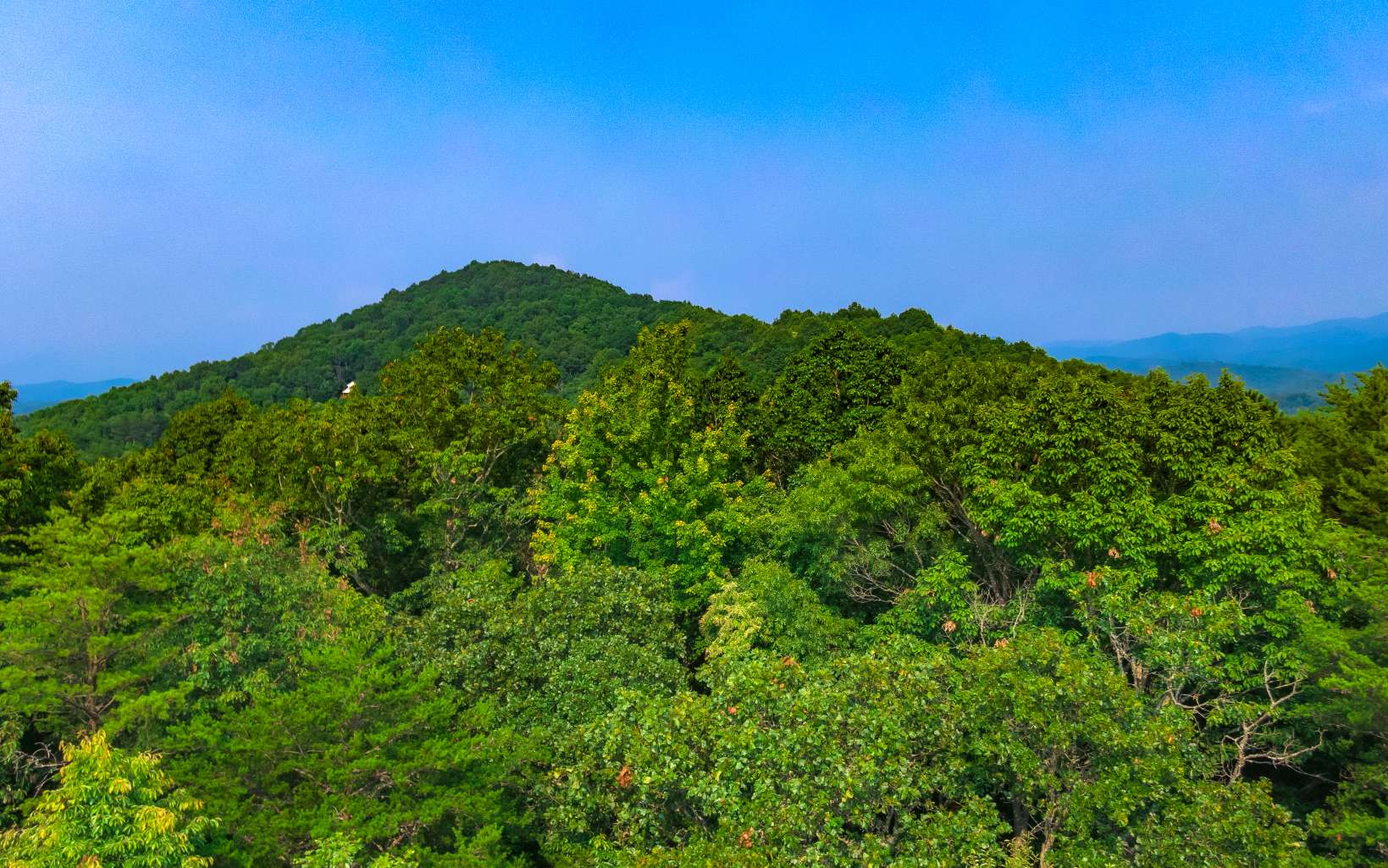 Shinbone Mountain
