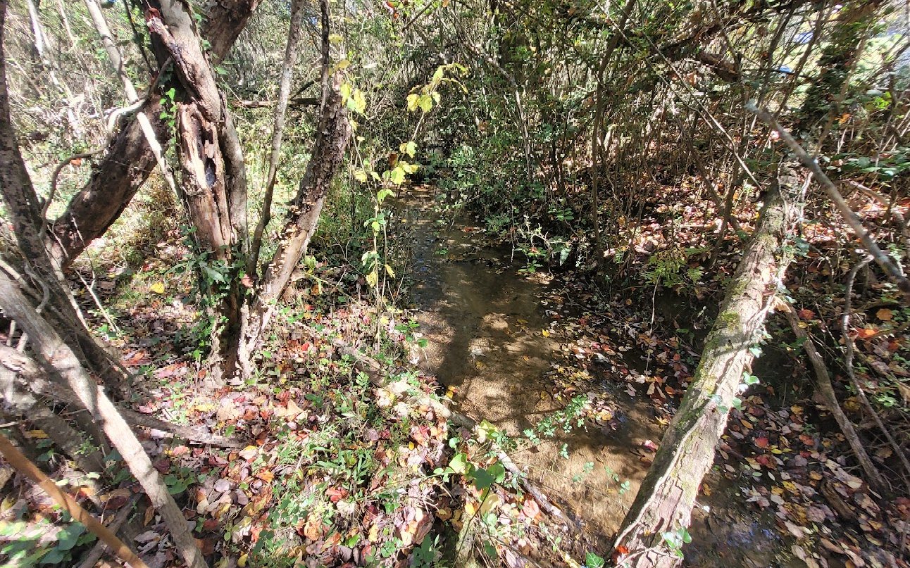 118 Brush Creek Road
