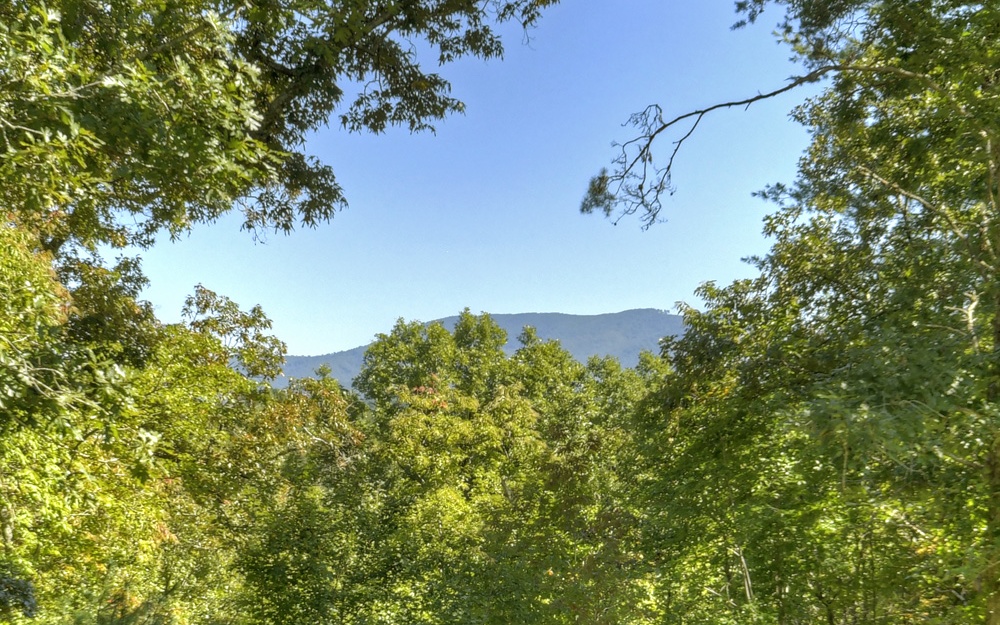 250 Crestlawn Drive