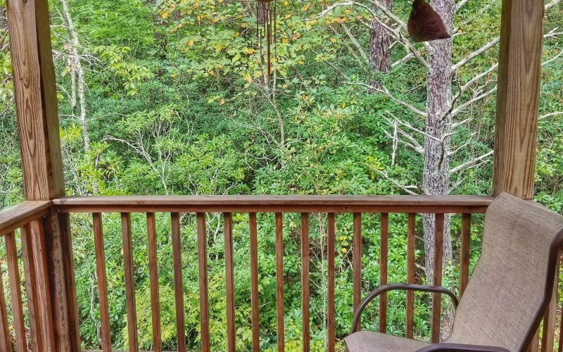 360 Johnson Cove Road