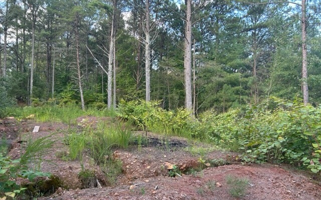 148 Highland Woods
