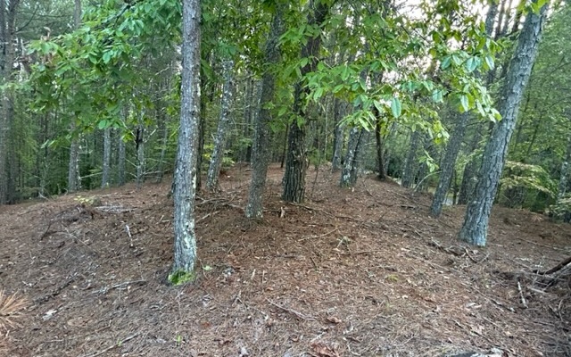 148 Highland Woods
