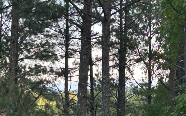 148 Highland Woods