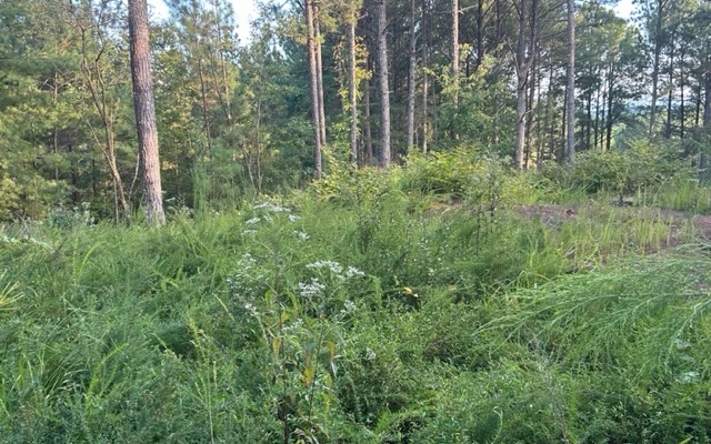 148 Highland Woods