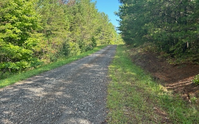 Skyline Drive