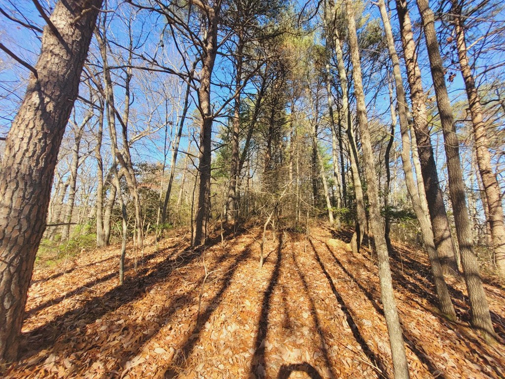 0 Blalock Road