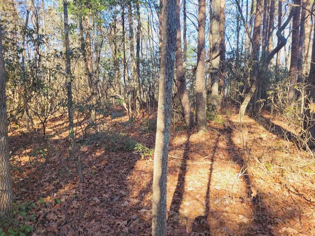 0 Blalock Road
