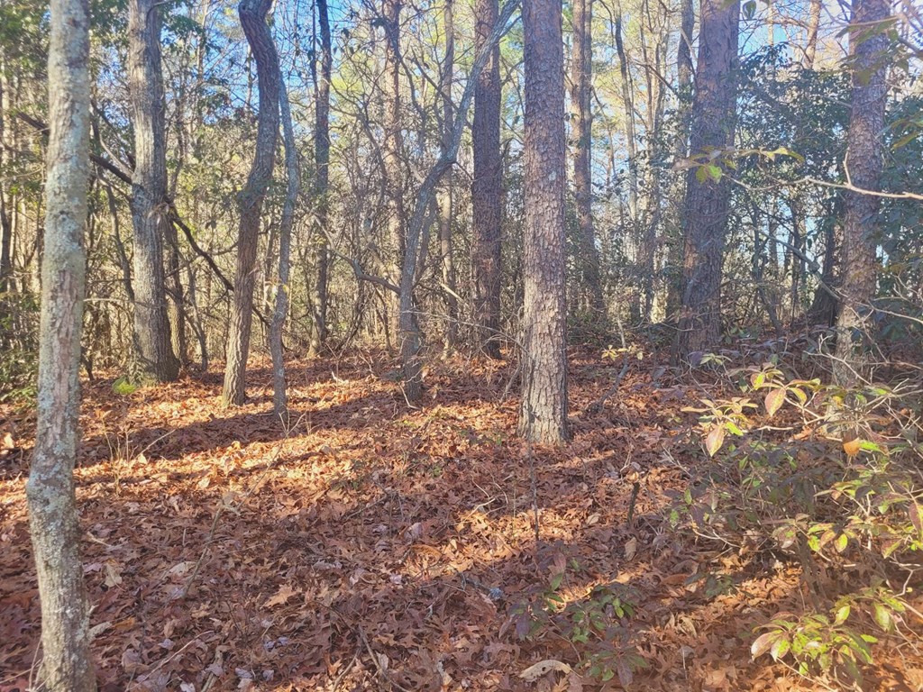 0 Blalock Road