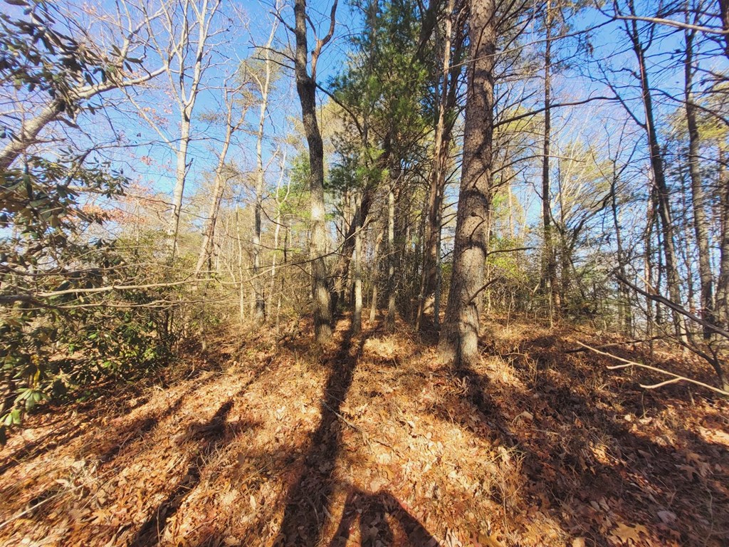 0 Blalock Road