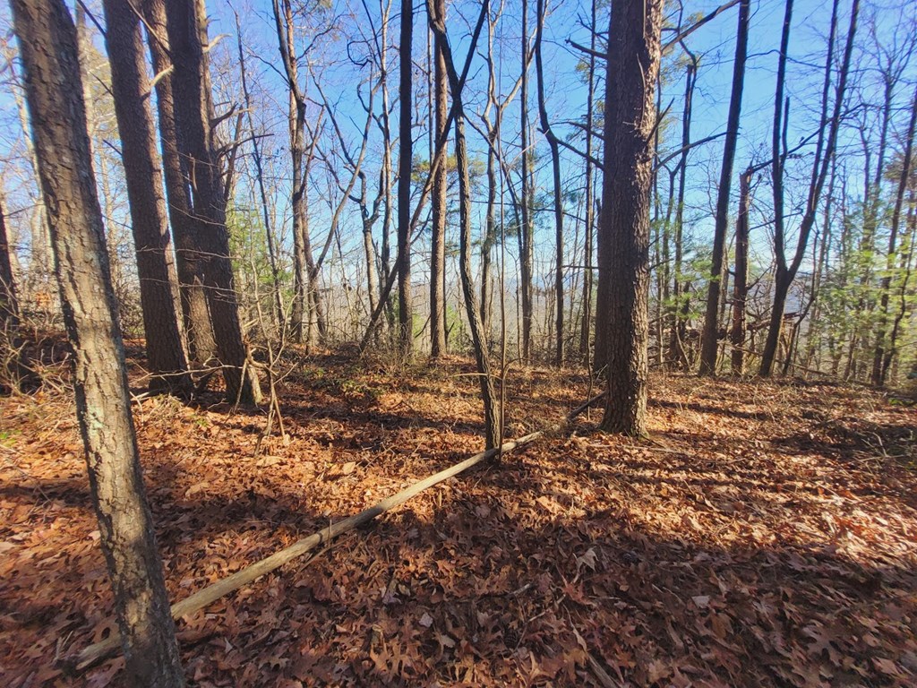 0 Blalock Road