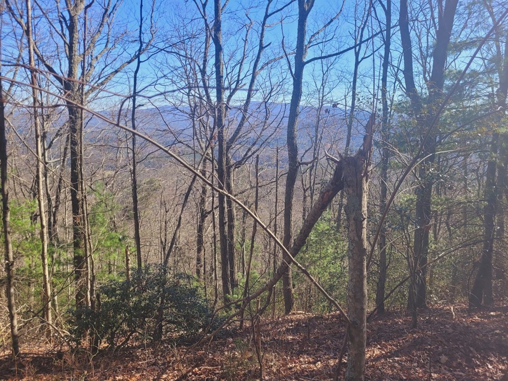 0 Blalock Road