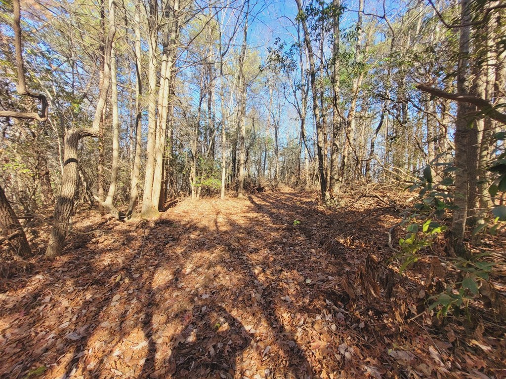 0 Blalock Road