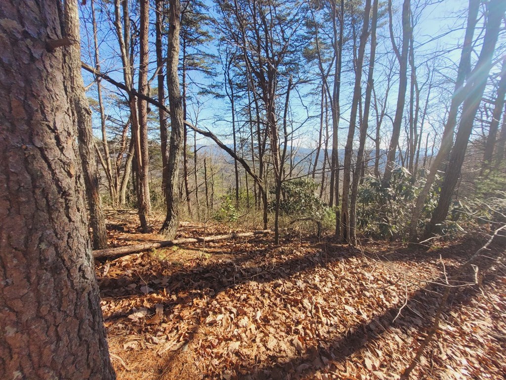 0 Blalock Road
