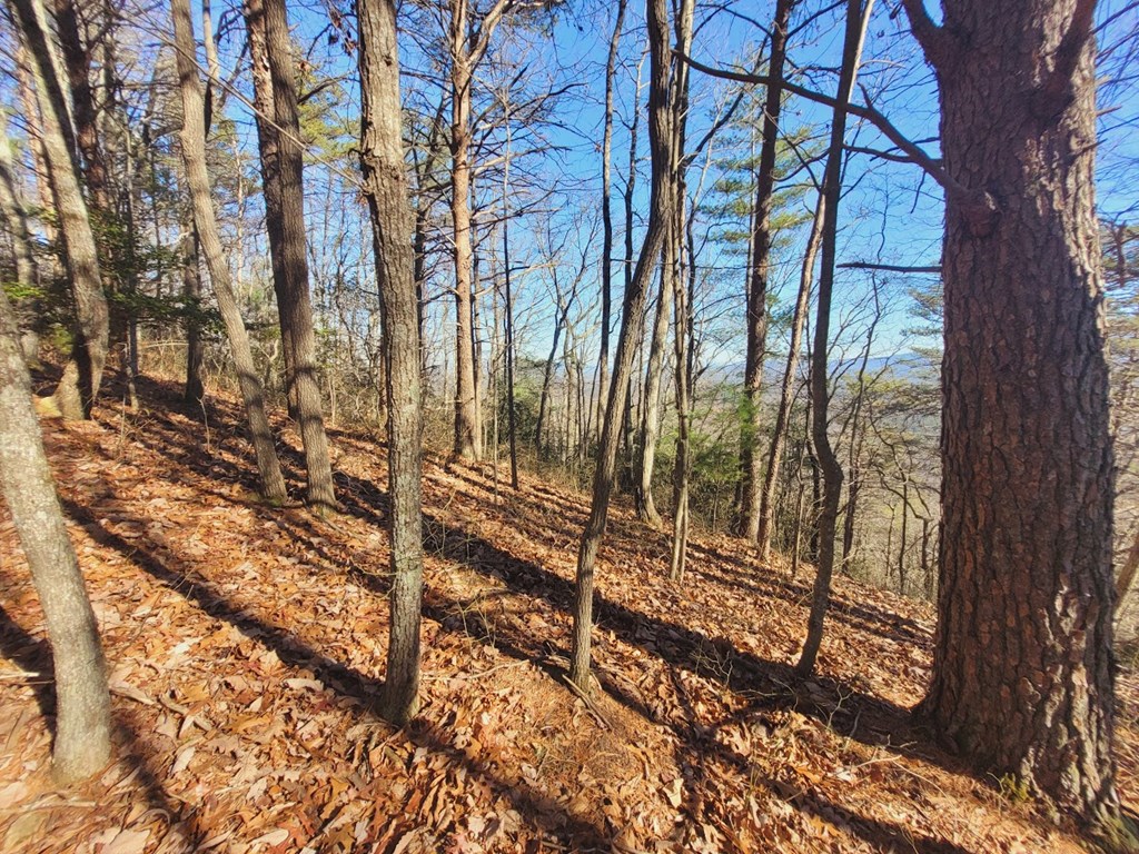 0 Blalock Road