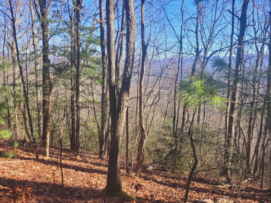0 Blalock Road