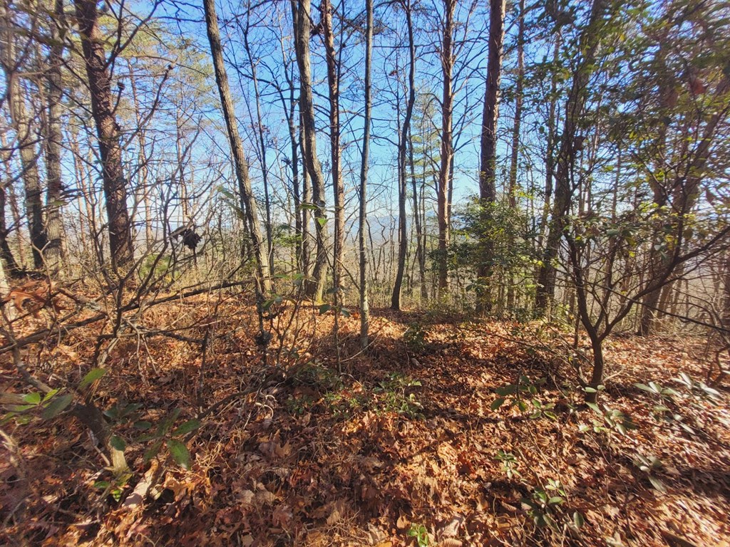 0 Blalock Road