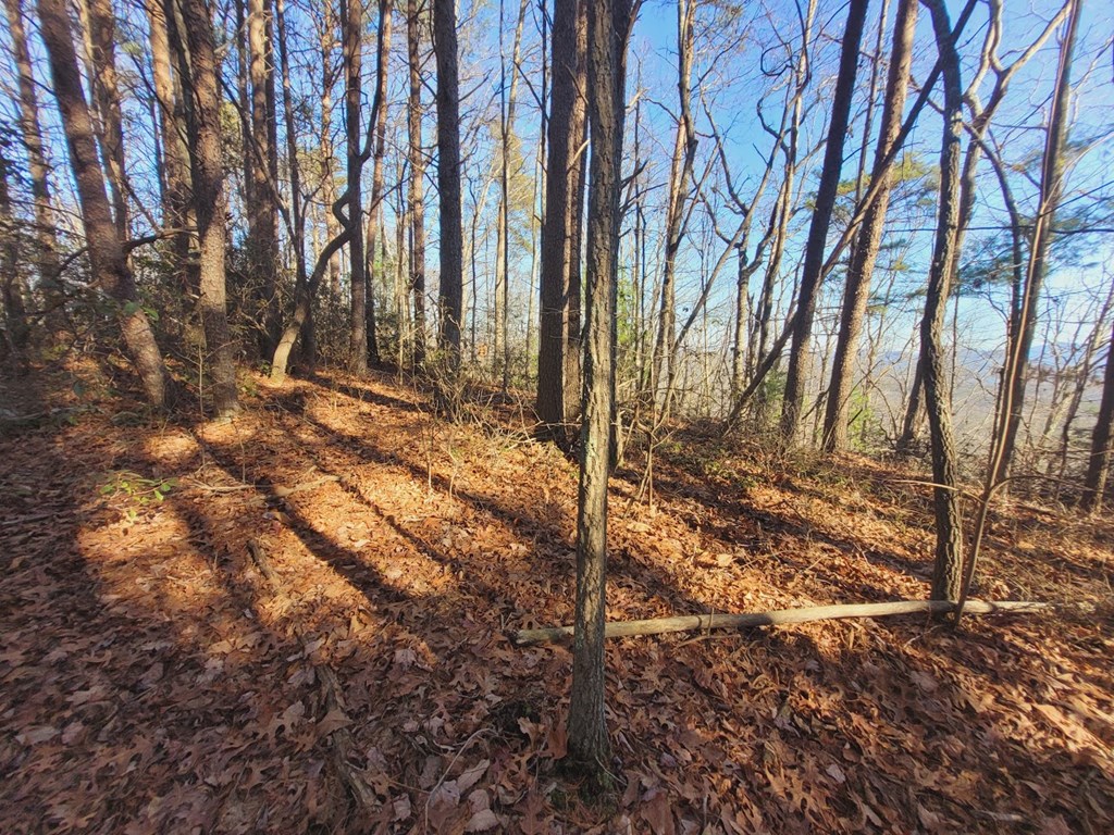 0 Blalock Road