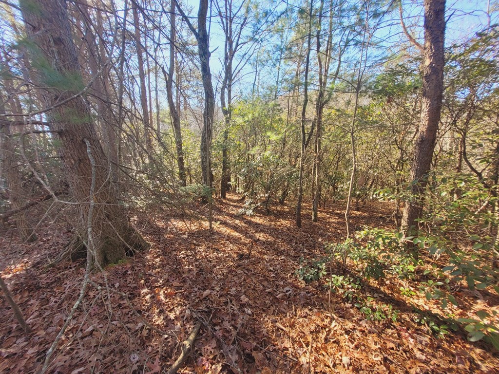 0 Blalock Road