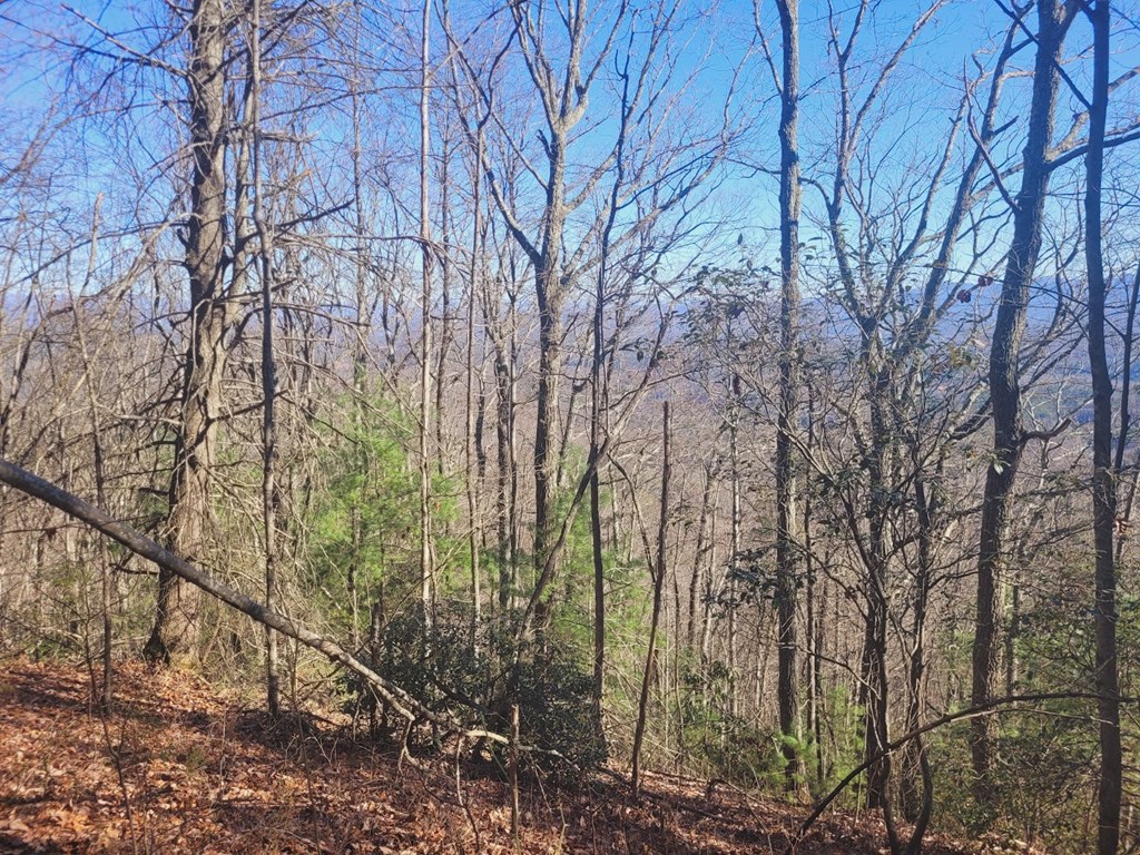0 Blalock Road