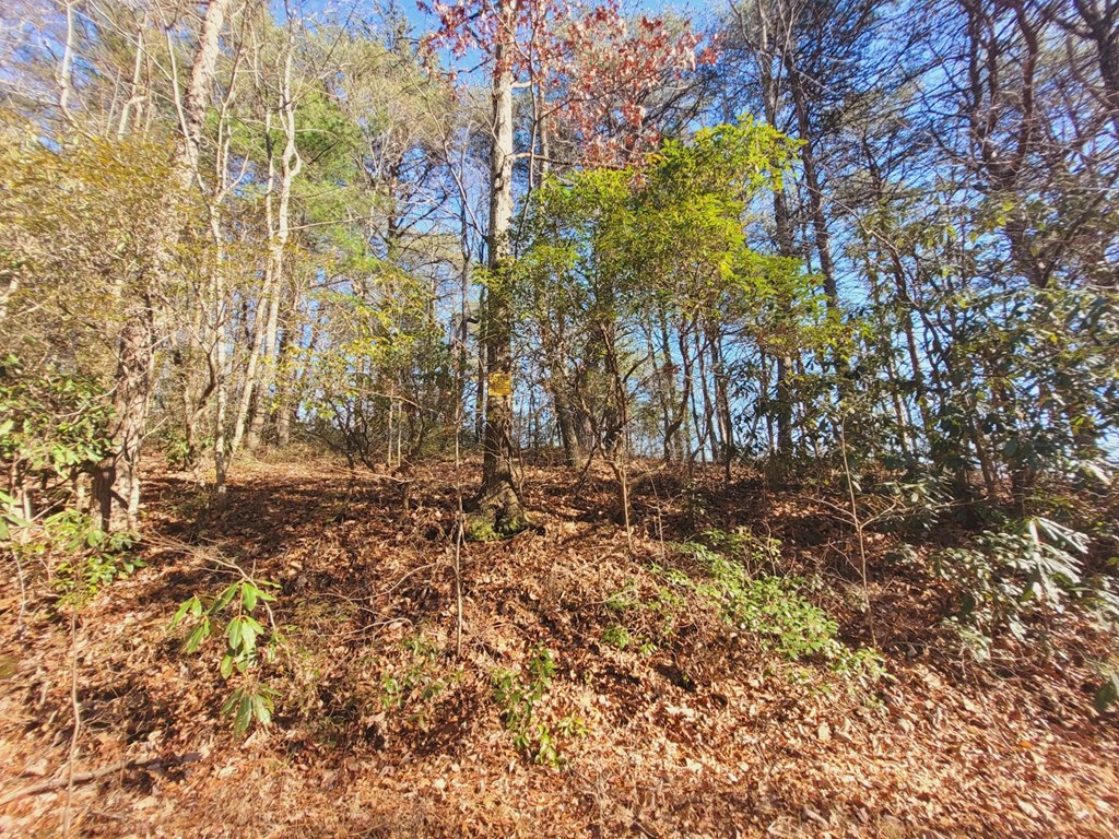 0 Blalock Road