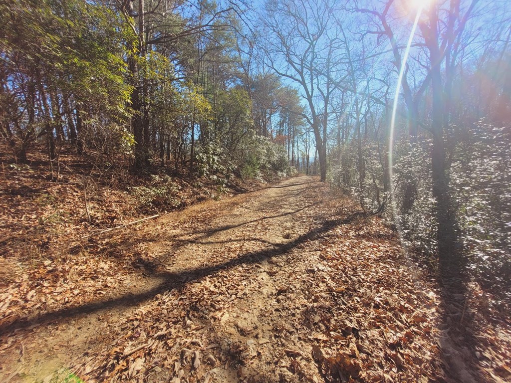 0 Blalock Road