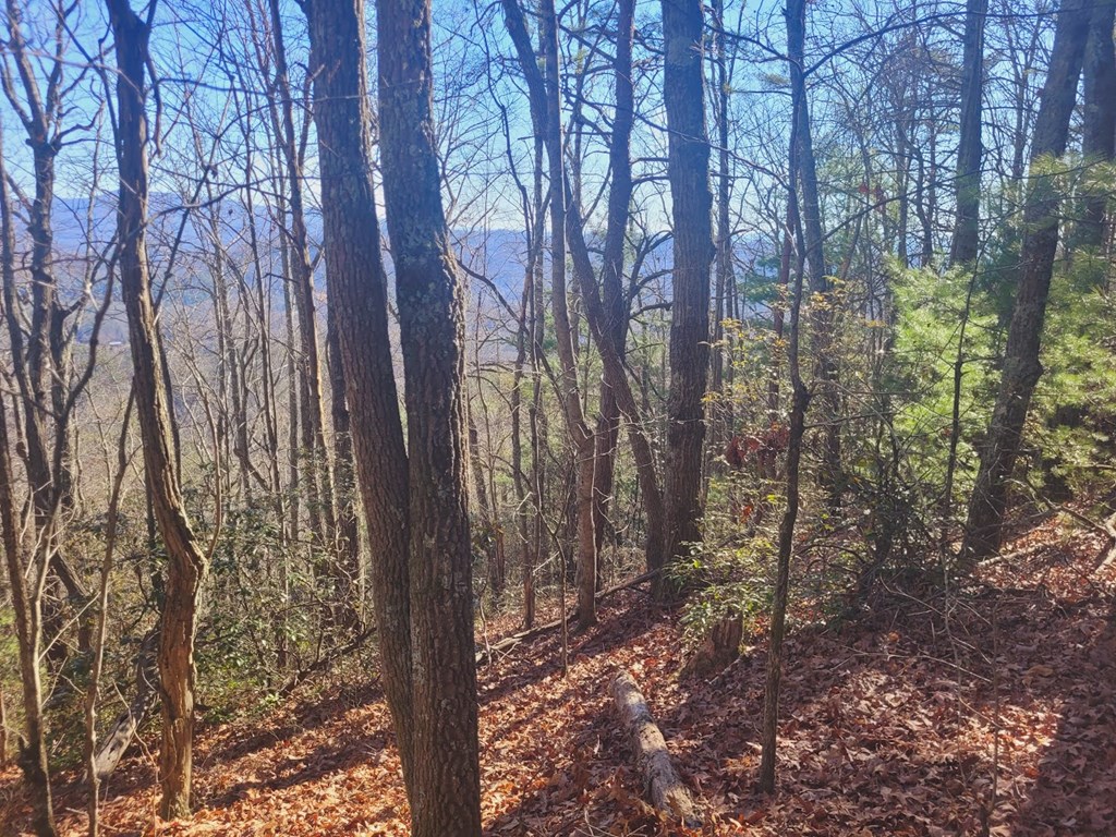 0 Blalock Road