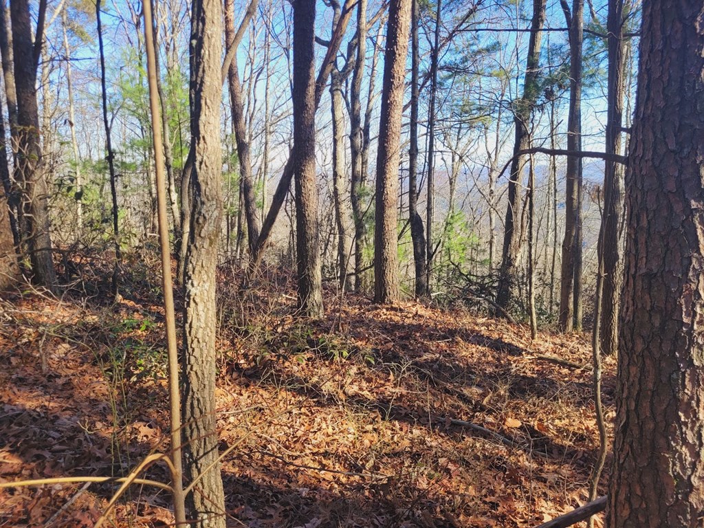 0 Blalock Road
