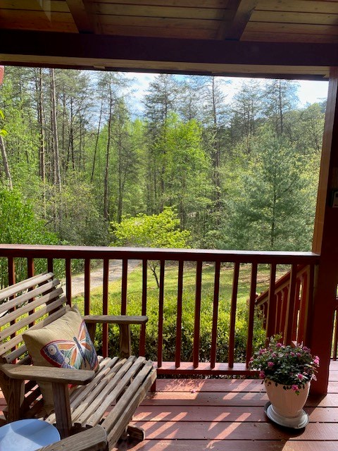 360 Johnson Cove Road, Copperhill