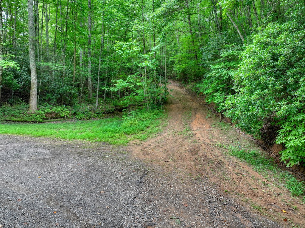 0 Blalock Road