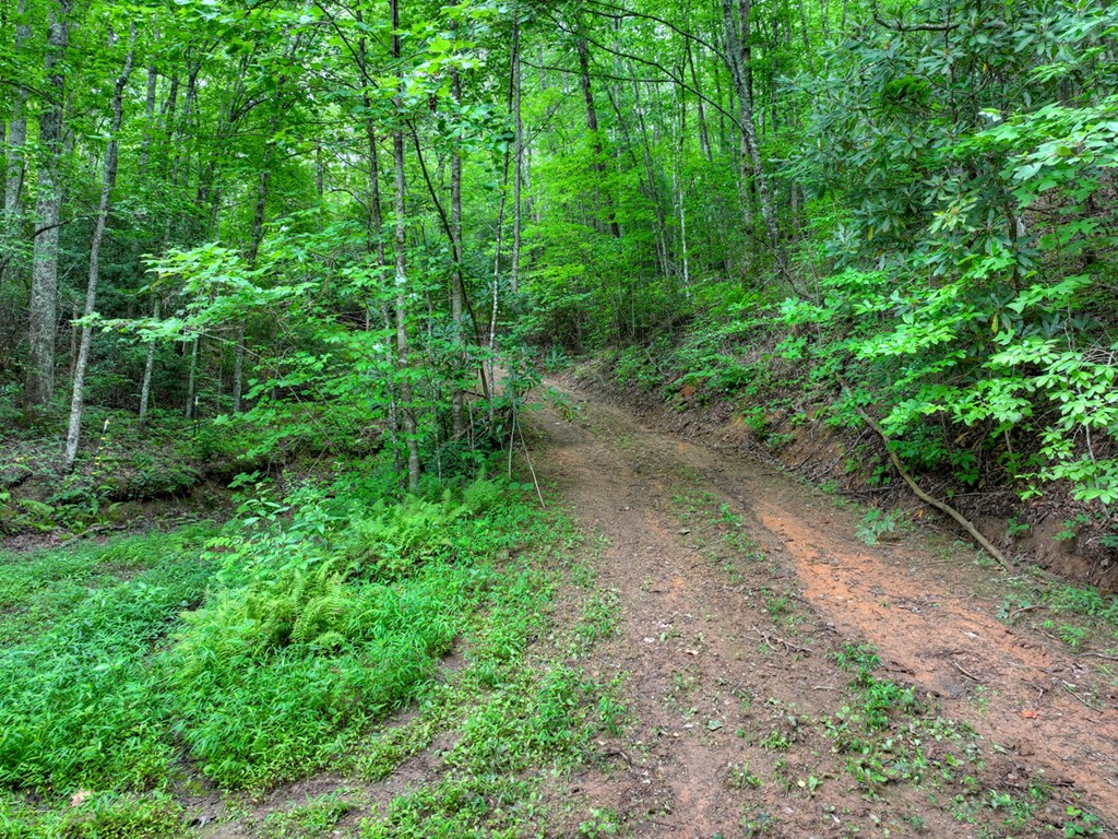0 Blalock Road