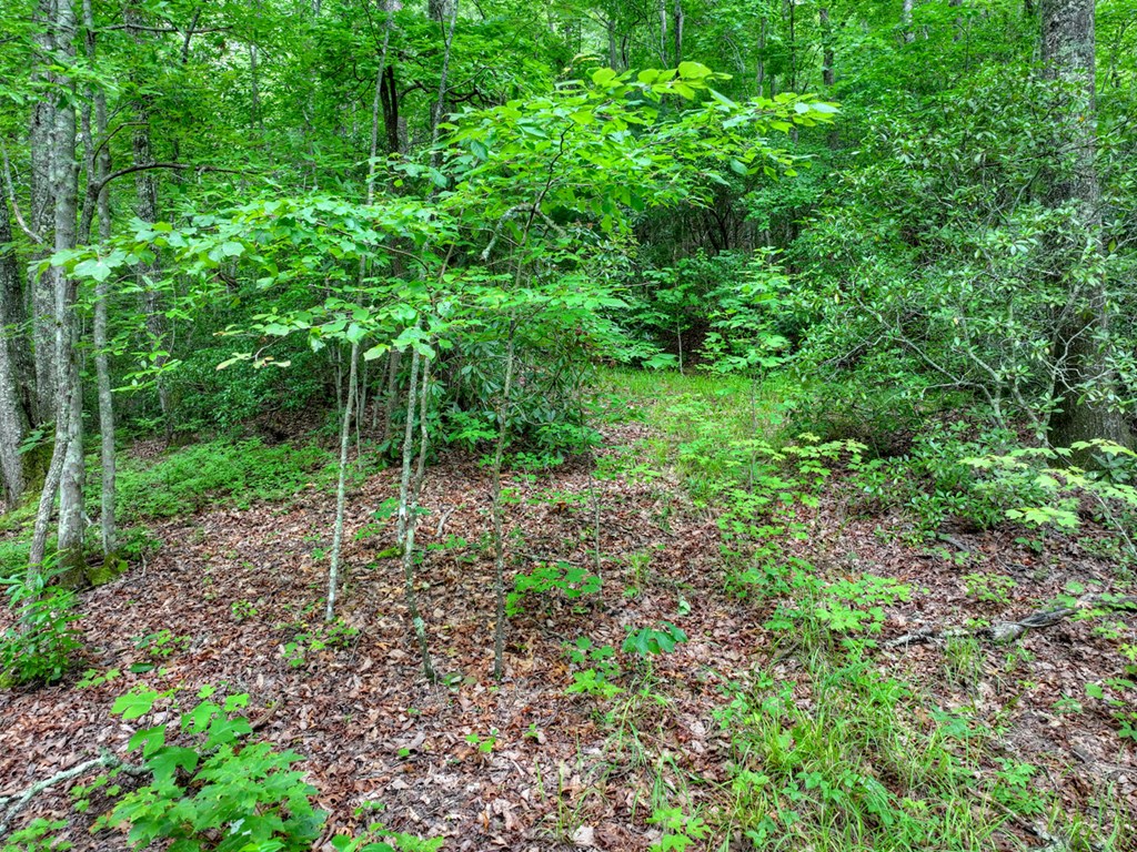0 Blalock Road