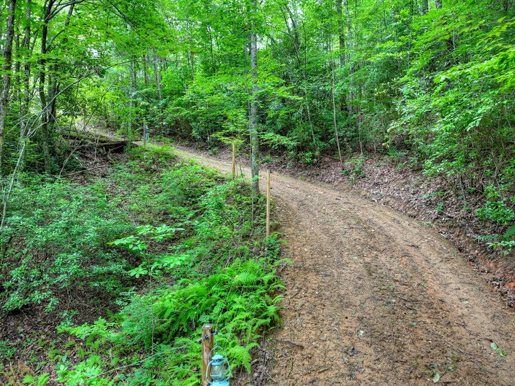 0 Blalock Road
