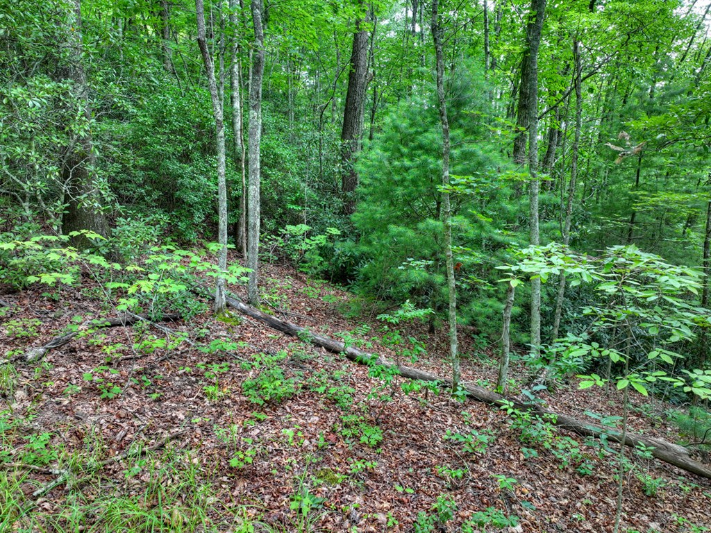 0 Blalock Road