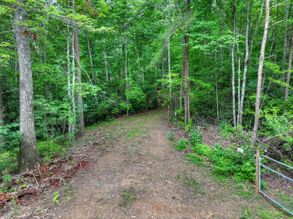 0 Blalock Road