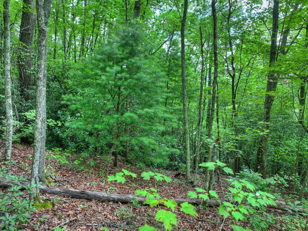 0 Blalock Road