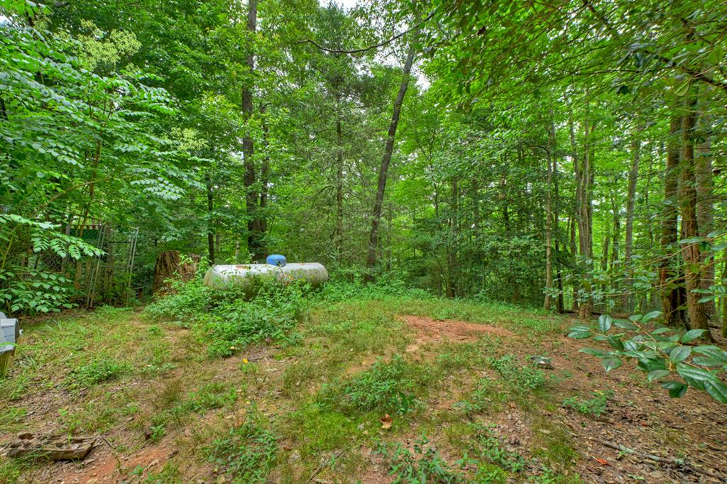 137 Welch Lane