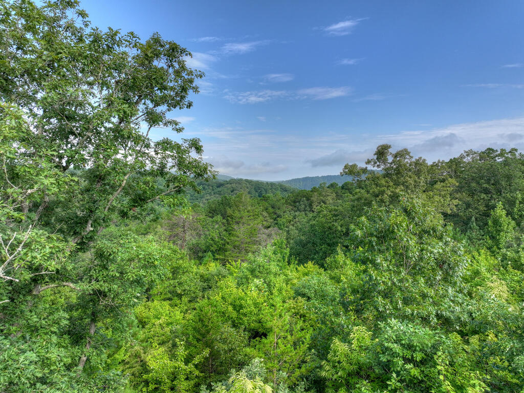 0 Andeburg Hollow Road